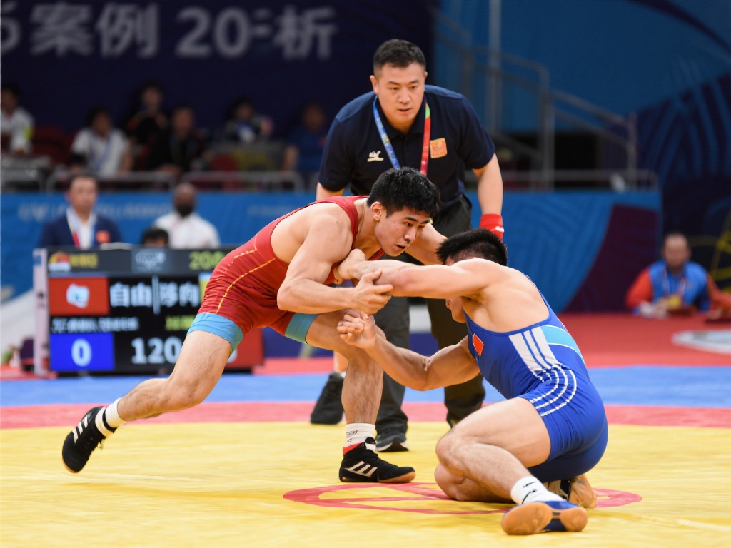 范尼的优势 范尼的优势